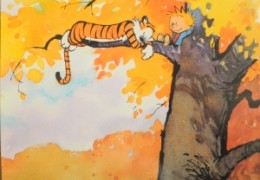 “The Lesson of a Lifetime”