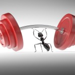 How To Build More Muscle In Less Time