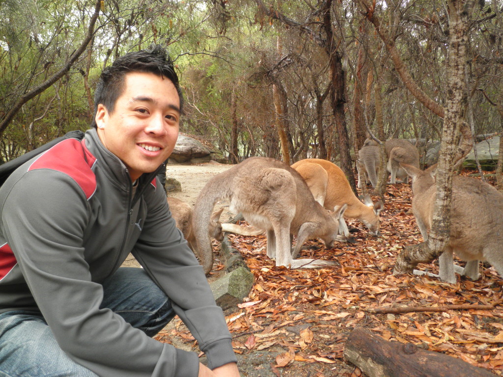 Who doesn't like kangaroos...?