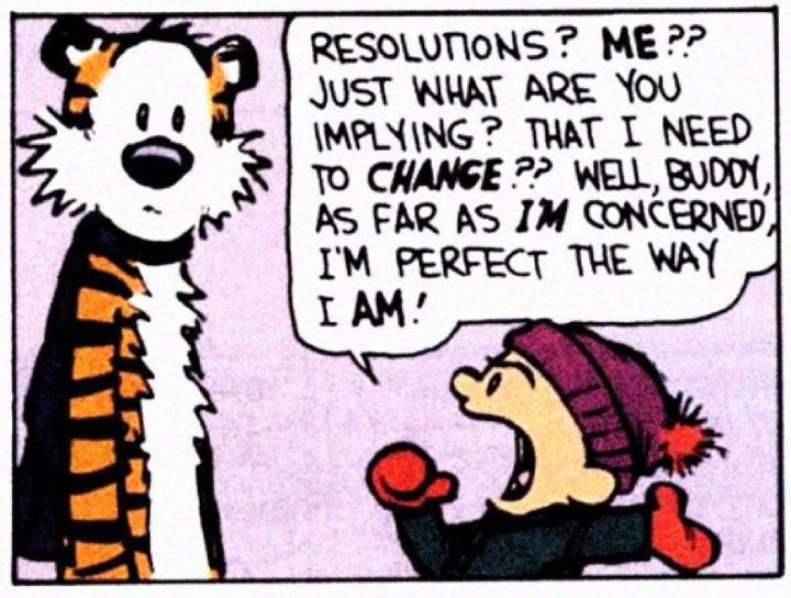 new years themes calvin and hobbes