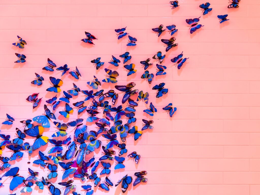 The butterfly effect for careers